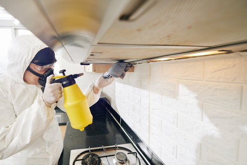 Kitchen Hood Cleaning Near Me